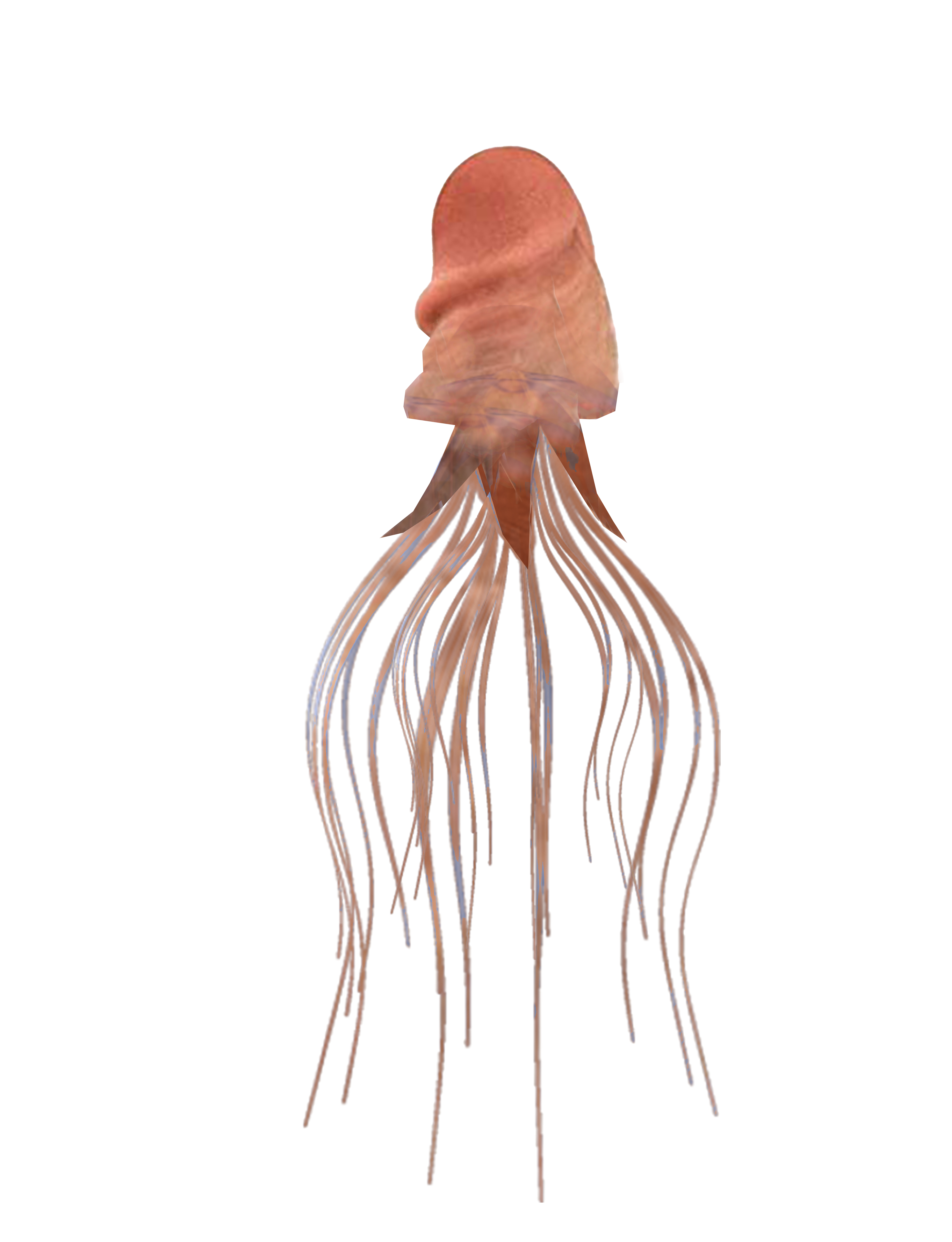 Floating Image 11